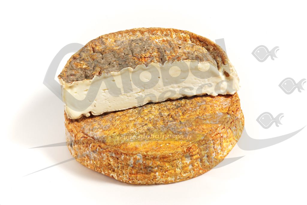 TOMA MACCAGNO FORMA 2 kg LC