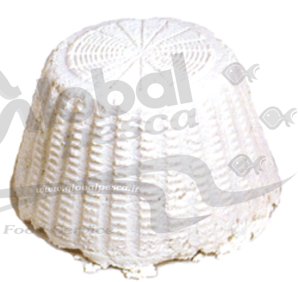 RICOTTA SARDA PECORA FRESCA FORMA X 1,5kg LC