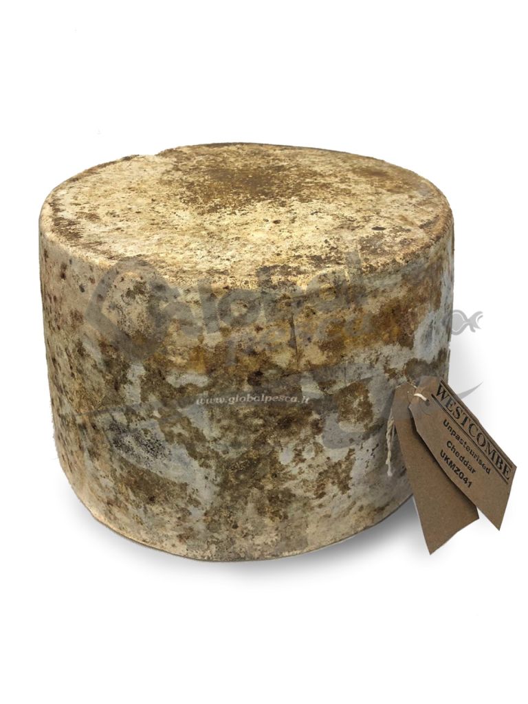 CHEDDAR WESTCOMBE BIANCO SLOWFOOD SPICCHIO 2 kg LC