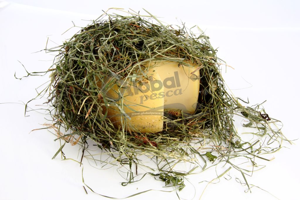 PECORINO NEL FIENO 2 kg LC