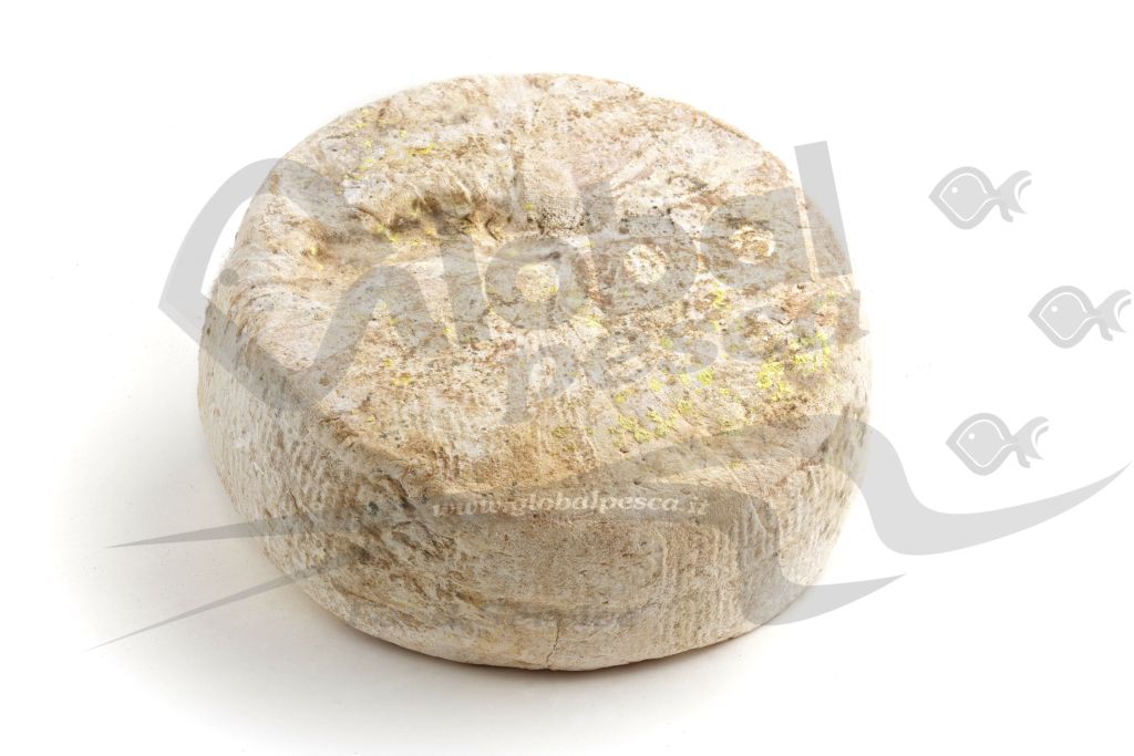 TOMA PAESANA LATTE CRUDO 1/4 1,5 kg LC