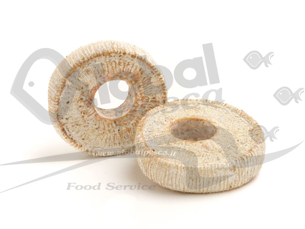 TOMA MACCAGNO CON BUCO MEZZA F X1 kg LC