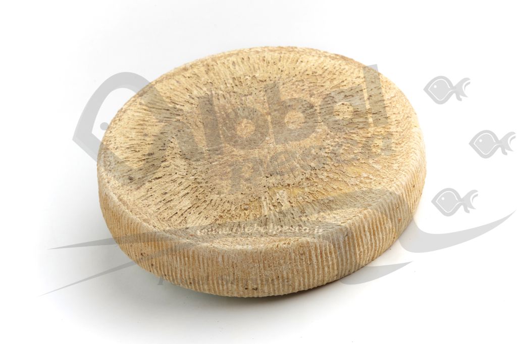 FORMAGGIO TESTUN DI VACCA 1/4 1,5 kg LC