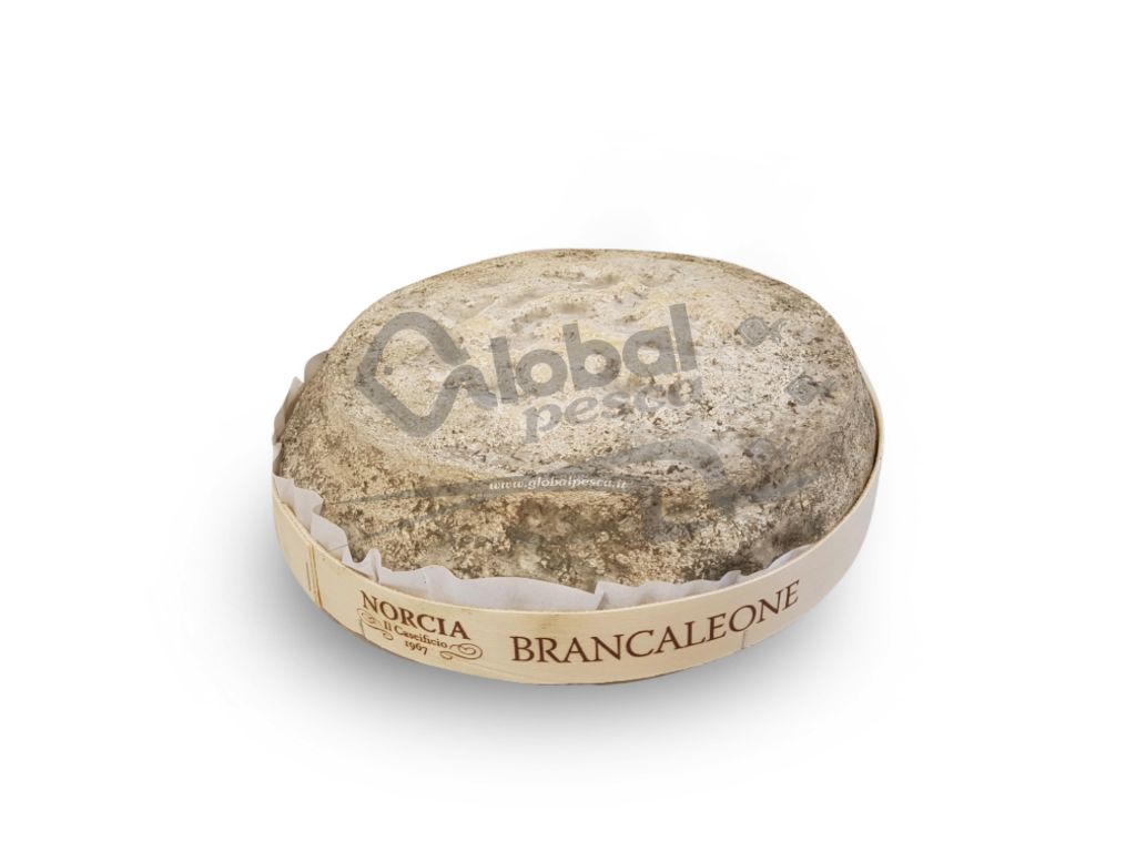 FORMAGGIO BRANCALEONE 1/2 FORMA 1,6 kg LC