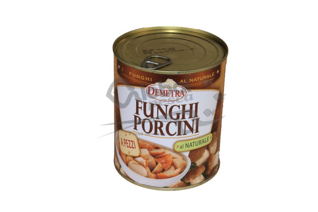 FUNGHI PORCINI PEZZI NATURALI  4/4 DEMETRA
