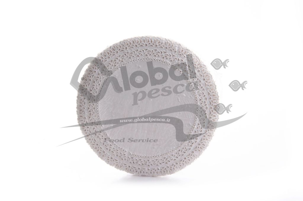 PIZZI 20cm X100PEZZI