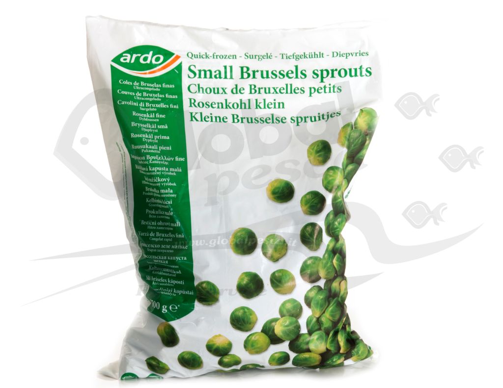 CAVOLINI BRUXELLES 25/30