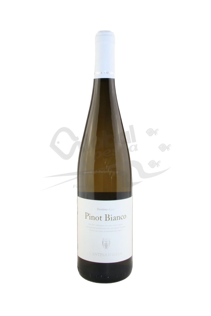 PINOT BIANCO TRENTINO DOC | 6 BT X 750 ml 2018 CANTINA D'ISERA 12,5°
