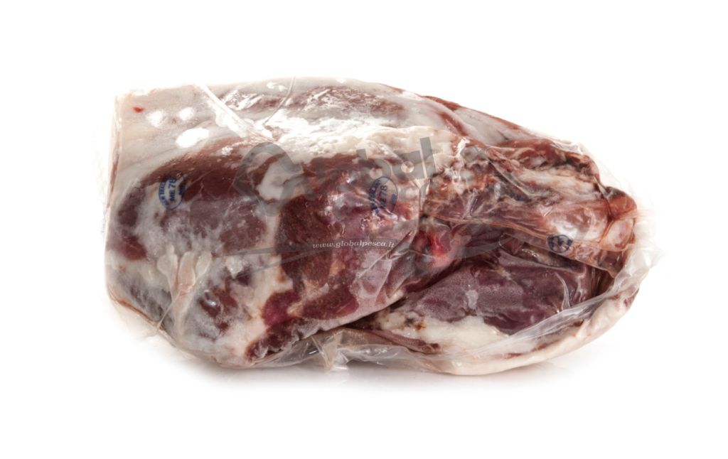 AGNELLO COSCIA NUOVA ZELANDA CO