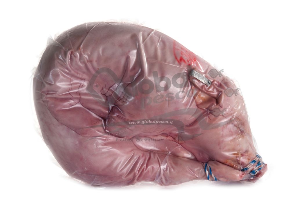 MAIALINO INTERO C/O 8-10kg MY PINKY CO