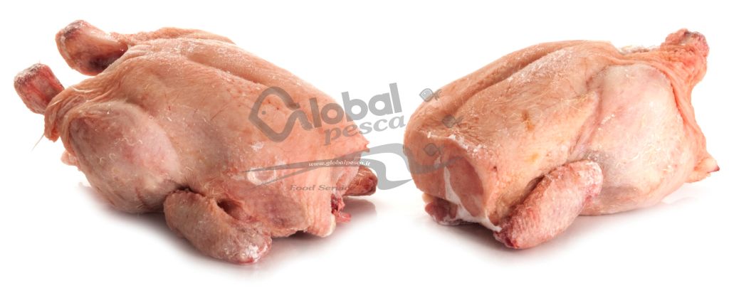 POLLO BUSTO x 1,1-1,2kg ITALIA CO