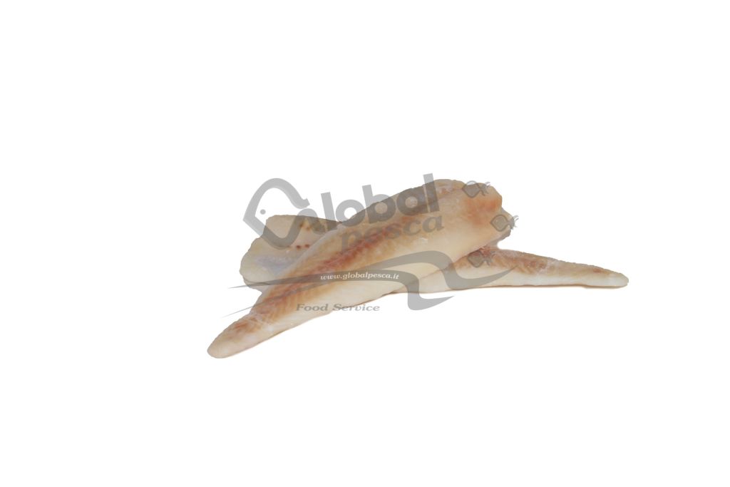 LUCCIOPERCA FILETTO 500-800g C/P 4kg