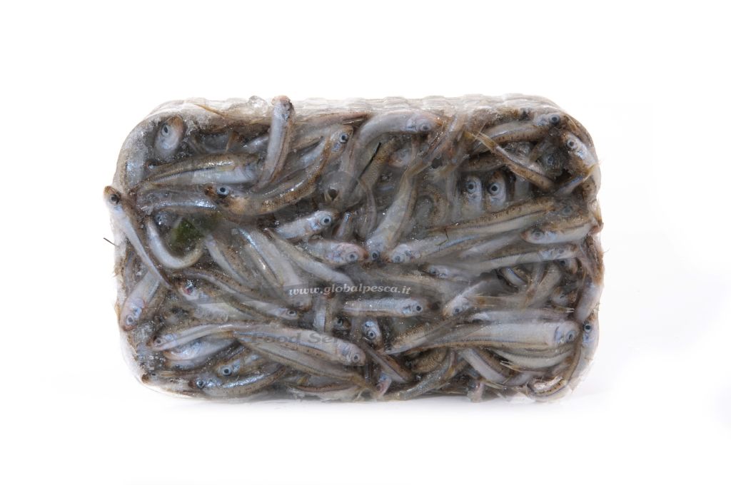 LATTERINO (ACQUADELLA) PULITO