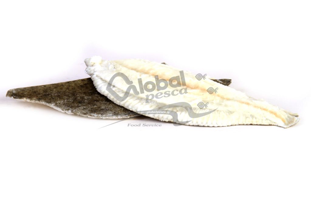 ROMBO CHIODATO FILETTO 150/ 300 IQF