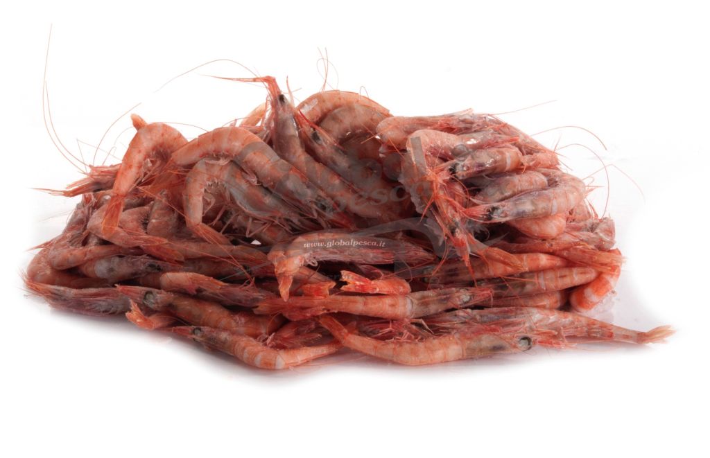 GAMBERO ROSA SICILIA 2 CO