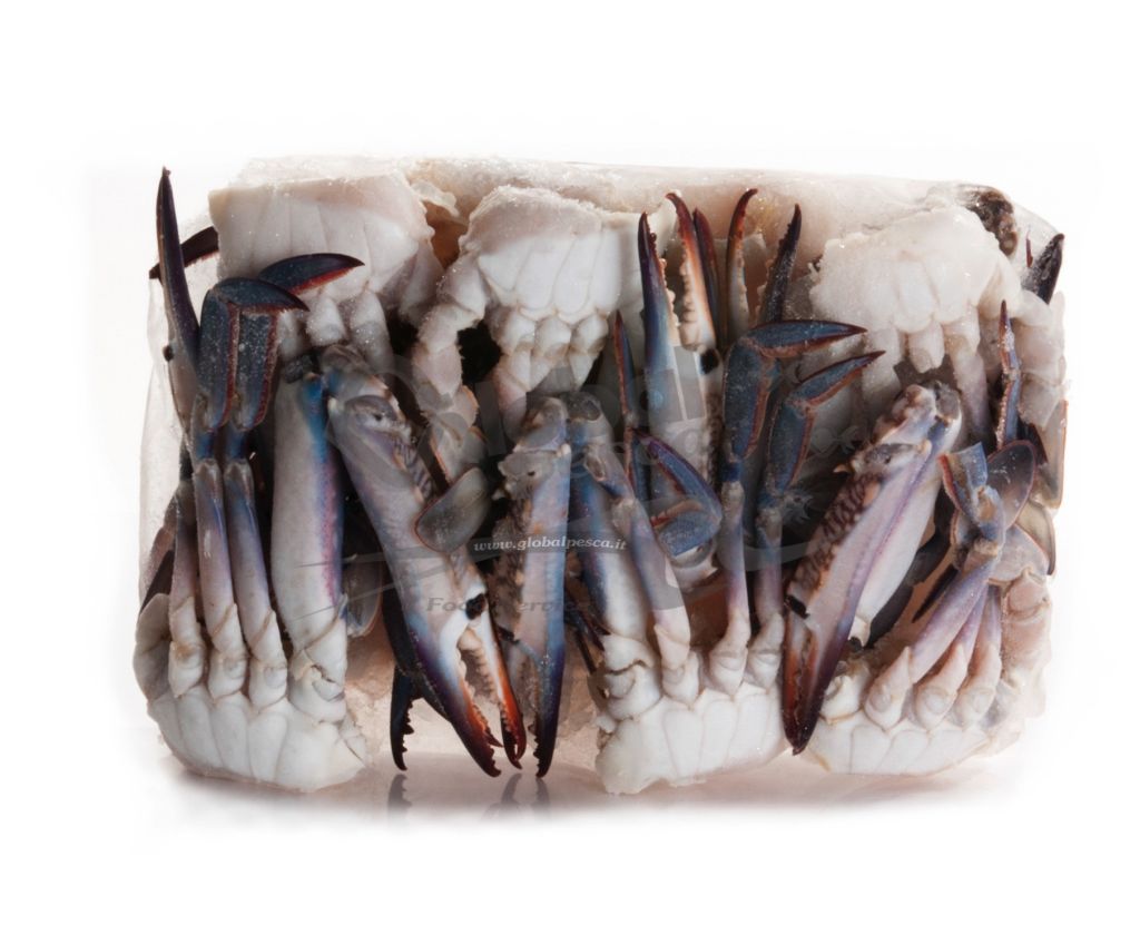 GRANCHIO DENTELLATO TAGLIATO 21/25