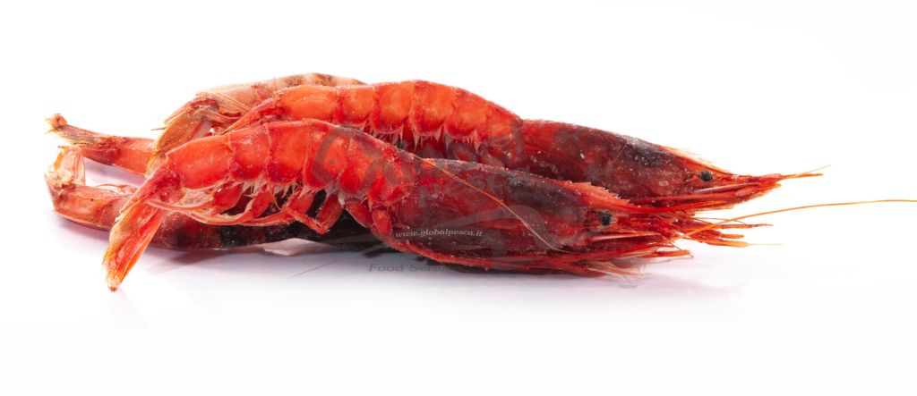 GAMBERO ROSSO EXTRA 4 SICILIA CO