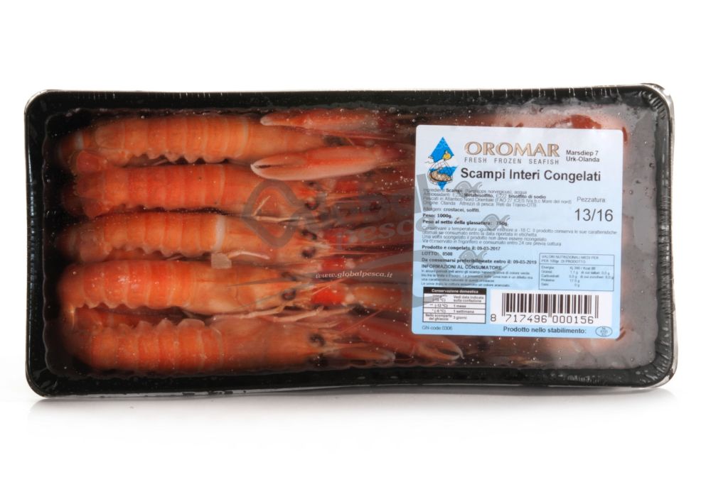 SCAMPO INTERO 13/16 OLANDA