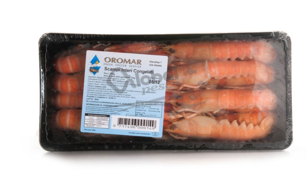 SCAMPO INTERO 8/12 OLANDA