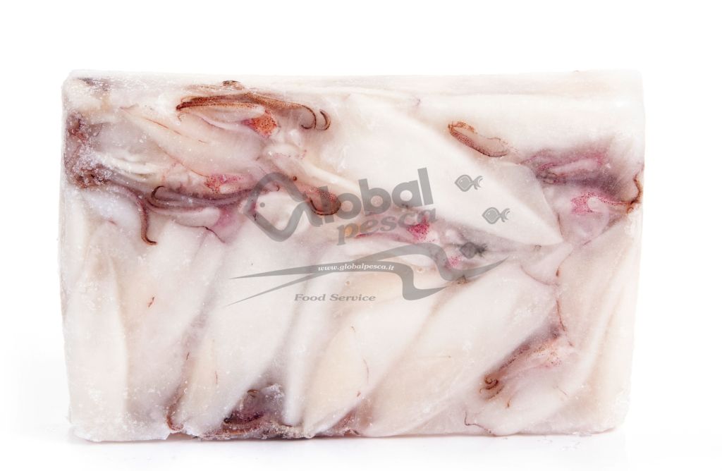 CALAMARO INDOPACIF INDIA PULITO 11/20 IQF #