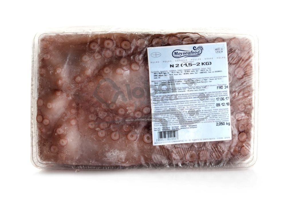 POLPO MOY VASCHETTA 1,5-2kg