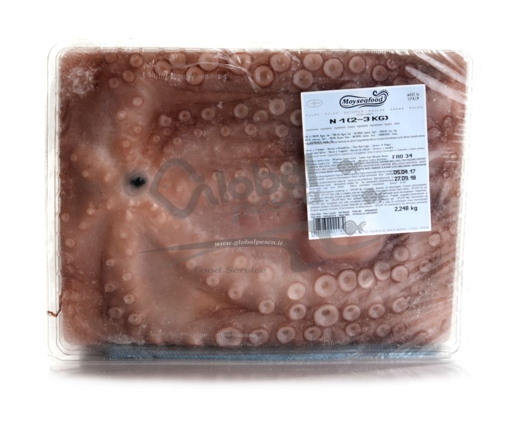 POLPO MOY VASCHETTA 2-3kg