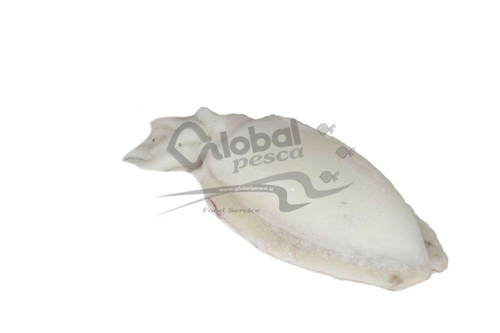 SEPPIA PULITA MAROCCO 500/1000g  5 kg NORMA CO