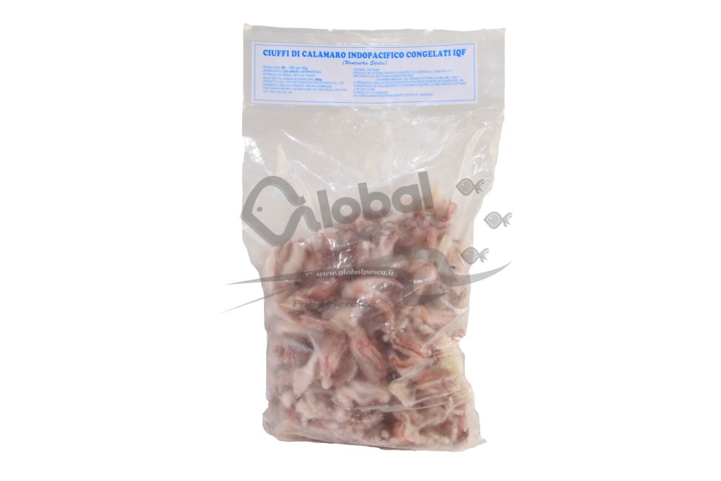 CALAMARO INDOPACIFICO CIUFFI 10X0,8kg VIETNAM