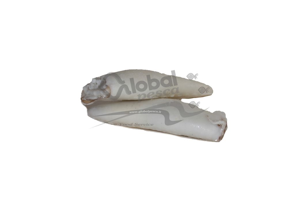 CALAMARO PULITO MAROCCO 16/20 2P IQF 1X5 kg