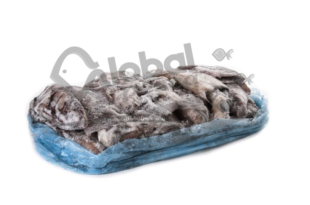 CALAMARO SCOZIA 100/300 BLOC X6kg