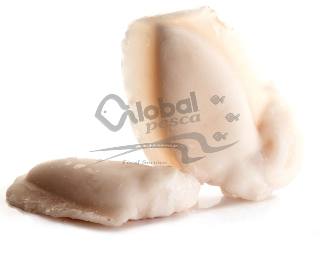 SEPPIA INDOPACIFICA PULITA 20/40 IQF