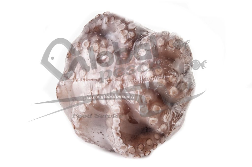 POLPO MOY FIORE MAROCCO 2000/3000 IQF #