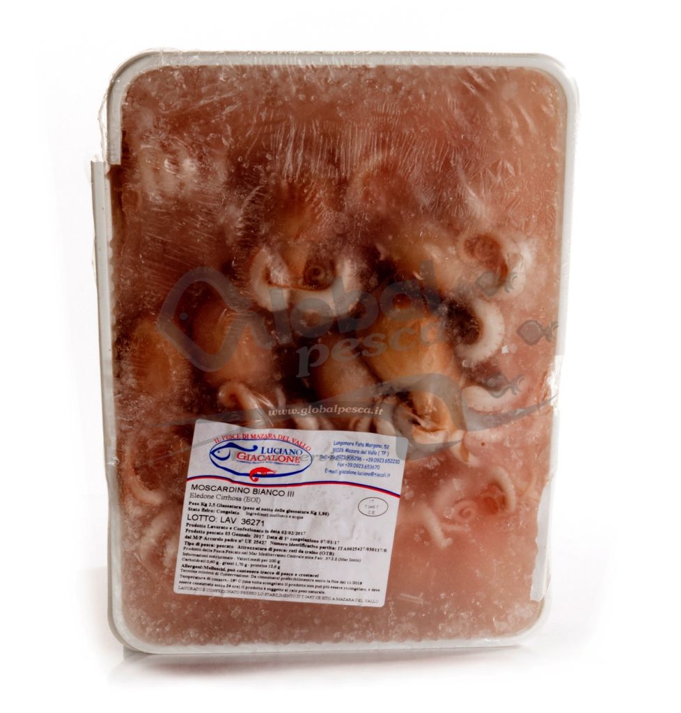 MOSCARDINO BIANCO SICILIA 3A #