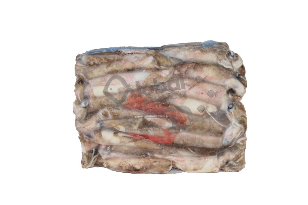 CALAMARO PATAGONICO C4LL 13/16 X5kg