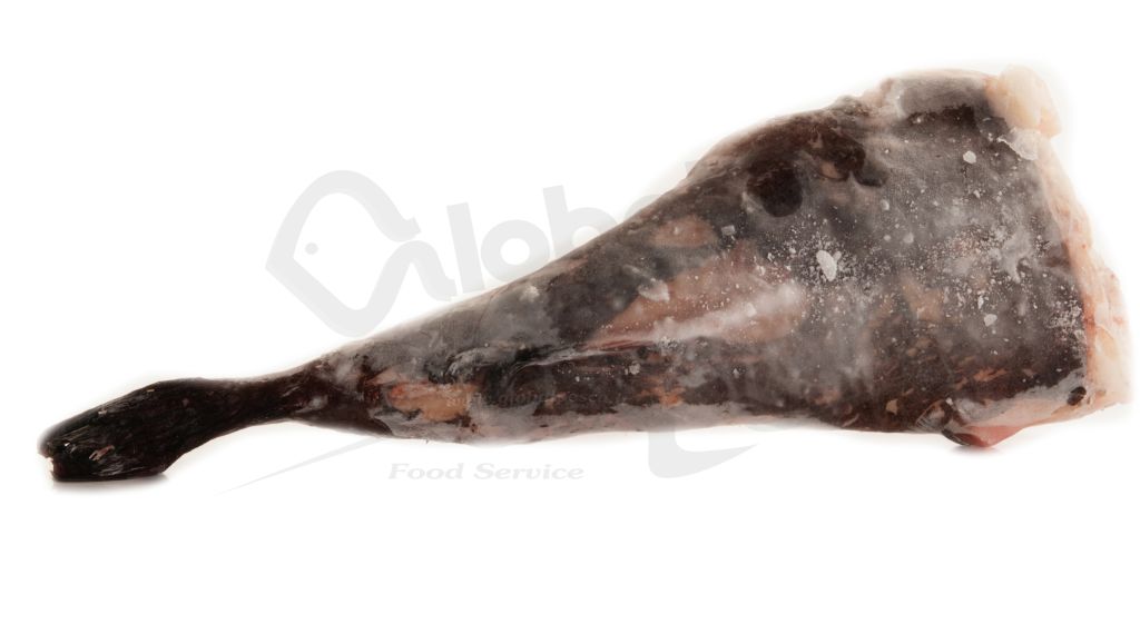 RANA PESCATRICE GROSSA 2-4kg ISLANDA