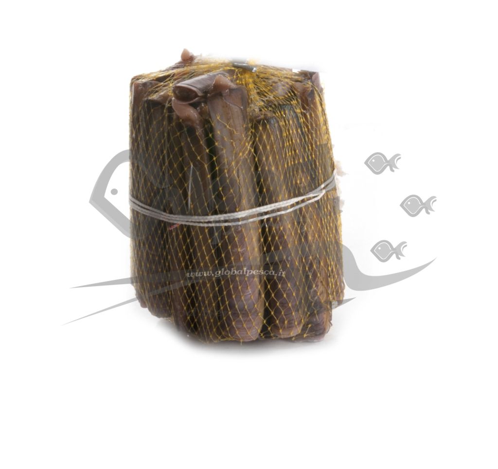 CANNOLICCHIO OCEANICO FR