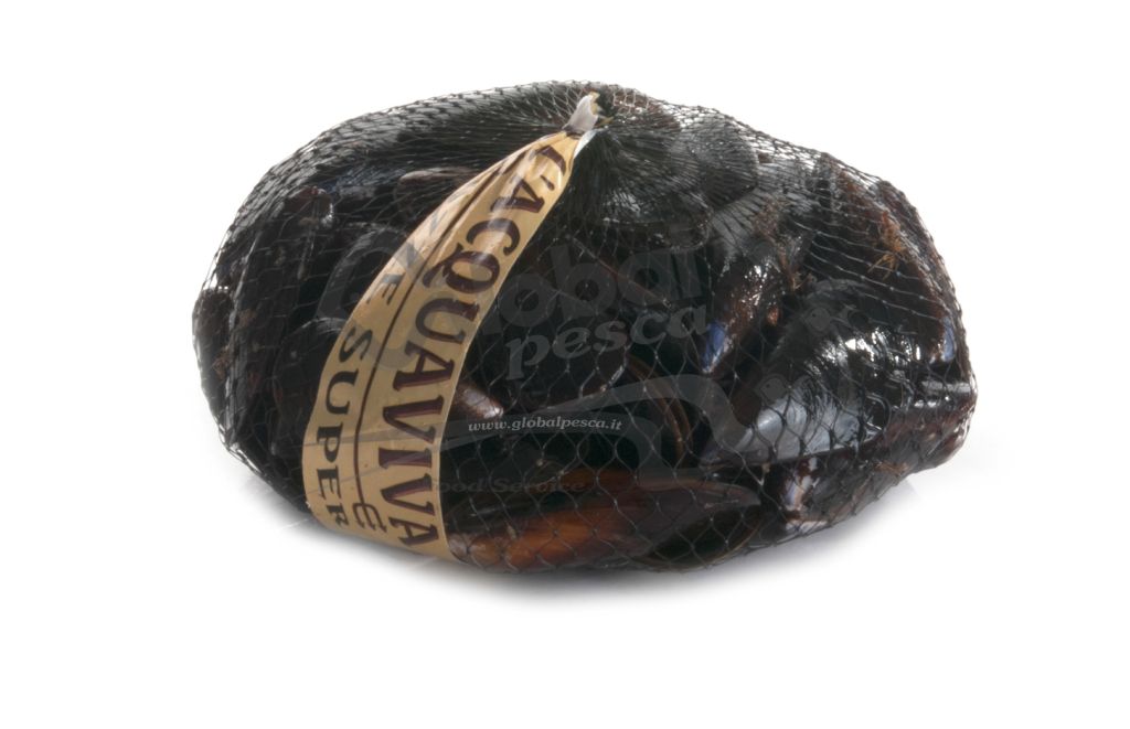 COZZA NOTTE SUPER ITALIA FR