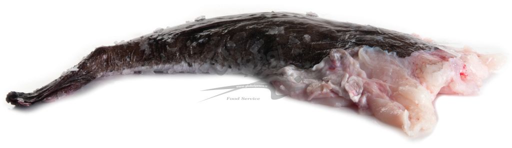 CODA RANA PESCATRICE 1/2 FR