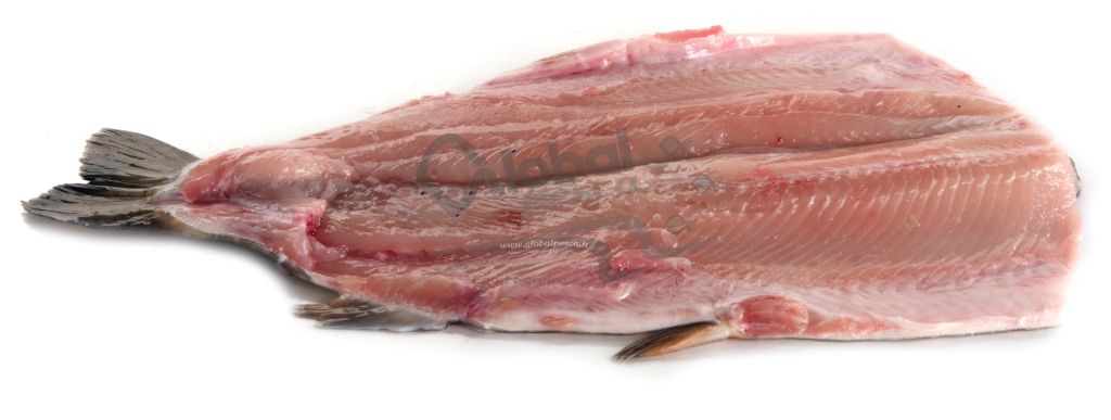 SALMERINO SPACCATO SENZA TESTA FR