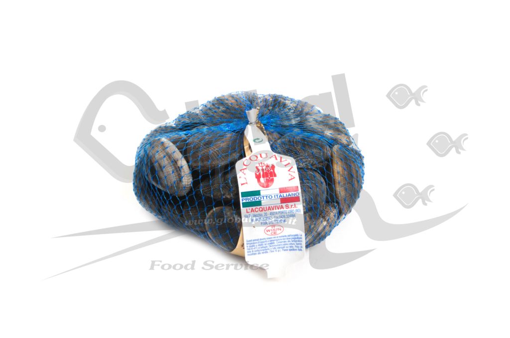 VONGOLA VERACE GROSSA NOTTE FR