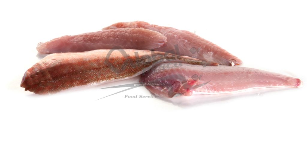 GALLINELLA FILETTO FR