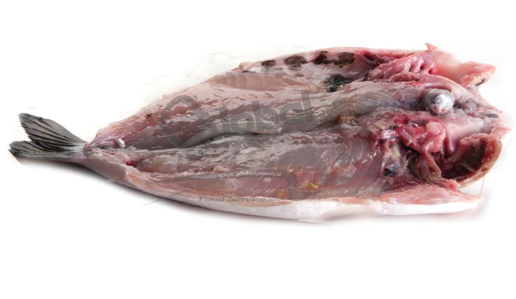 ORATA 400/580 SPACCATA C/T FRESCA