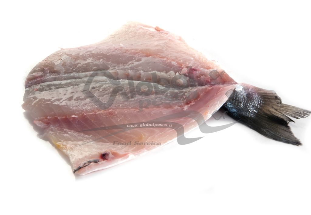 ORATA 400/580 SPACCATA SENZA TESTA FRESCA