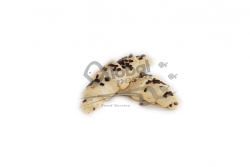 CROISSANT BURRO CIOCC. NOCCIOLA 60X90g GOURMAND CO