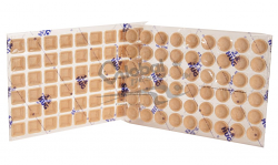 TARTELLETTA MIGNON ASSORT 2 F 270 PEZ SALATA HUG