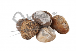 PANE ASSORTIMENTO RUSTIC BOULES 135X55g DELIFRANCE