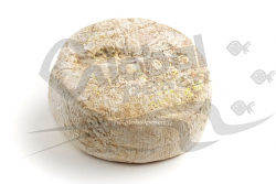 TOMA PAESANA LATTE CRUDO 1/4 1,5 kg LC