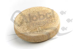 FORMAGGIO TESTUN DI PECORA 1/4 1,5 kg LC