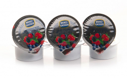 CONF PORZ FRUTTI BOSCO 50% 100X25g M/G