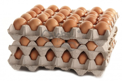 UOVA MISURA M X90PEZZI ITALIA